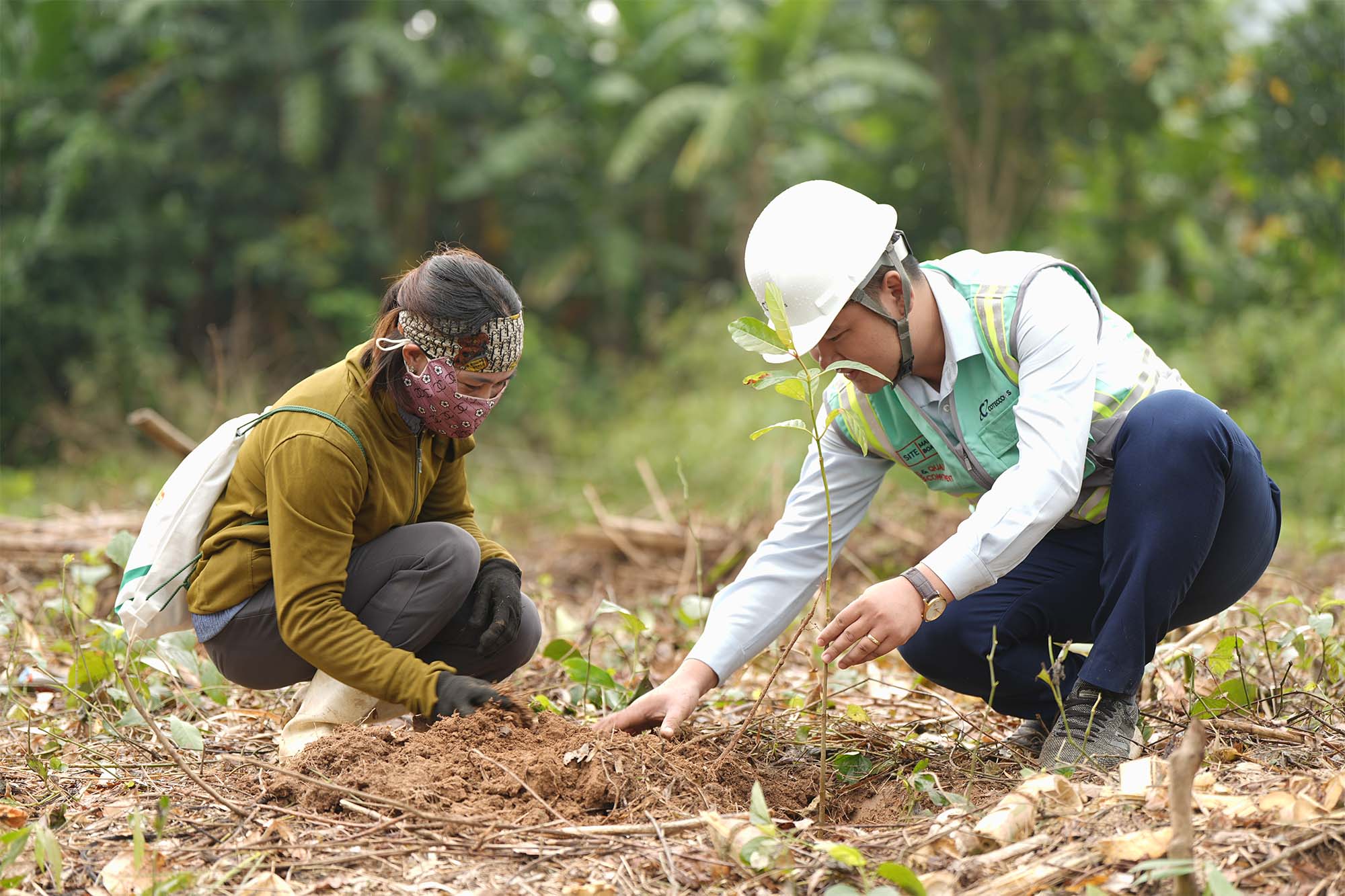 Corporate Sustainability